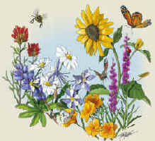 Wildflower meadow scene with native plants flowers and butterflies pollinators on a t-shirt