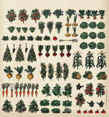 vegetable species comparing leaves and morphology details laid out in garden plan